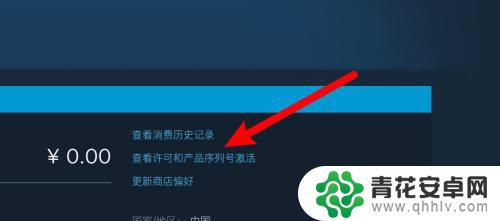 怎么看steam自己的代码 Steam游戏代码怎么查看