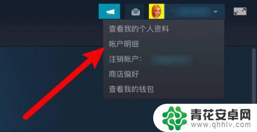 怎么看steam自己的代码 Steam游戏代码怎么查看