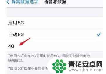 苹果4g手机怎么设置 苹果12怎样调整4G网络设置