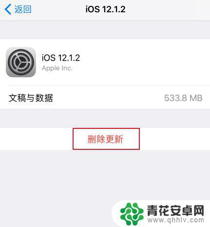 怎么在手机上设置一个红点 iOS更新被屏蔽后设置还有小红点怎么办