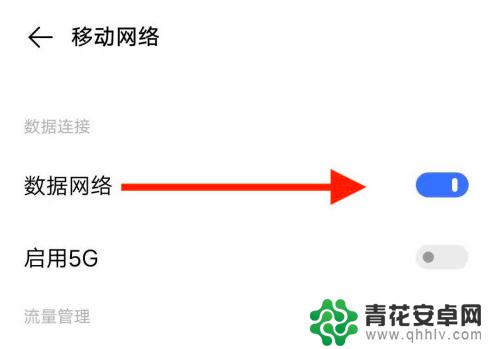 手机打开了5g网络 5G手机如何设置开启5G网络