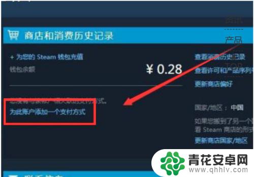 steam 支付 教程 steam付款人民币怎么兑换