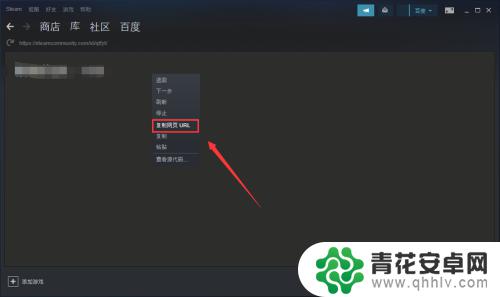 steam链接怎么搜索 查看自己的SteamID和个人链接的方法