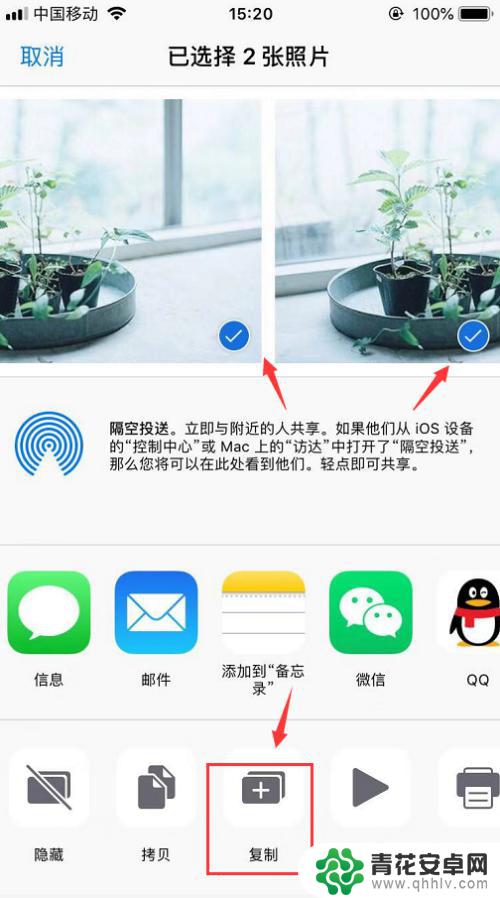 苹果手机拷贝照片怎么弄 iPhone相簿里如何一次性复制多张照片