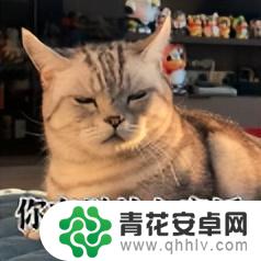 128GB手机退市引发热议！网友质疑：这版本太过分了