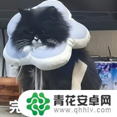 128GB手机退市引发热议！网友质疑：这版本太过分了
