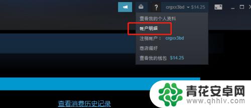 steam5美元怎么弄 Steam如何使用5美元充值