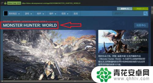 怪物猎人能在steam上玩吗 怪物猎人steam新手入门攻略