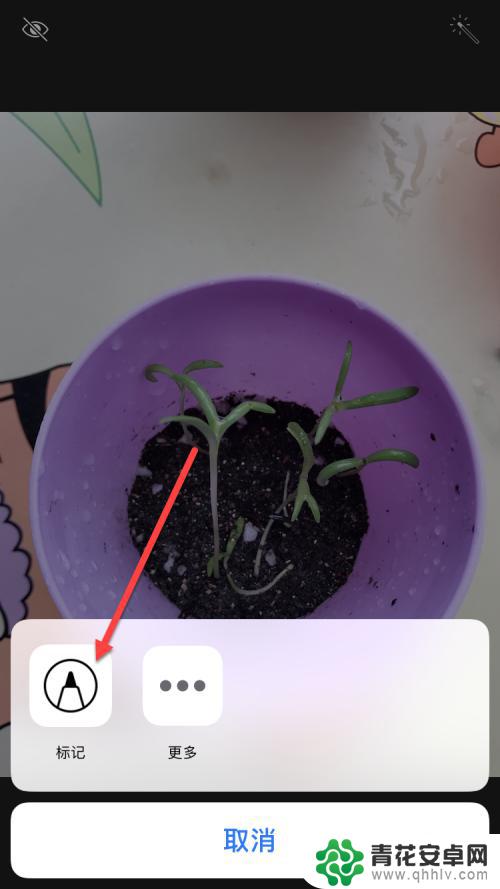 苹果手机照片怎么标记重点 如何在苹果手机照片上做标记和注释