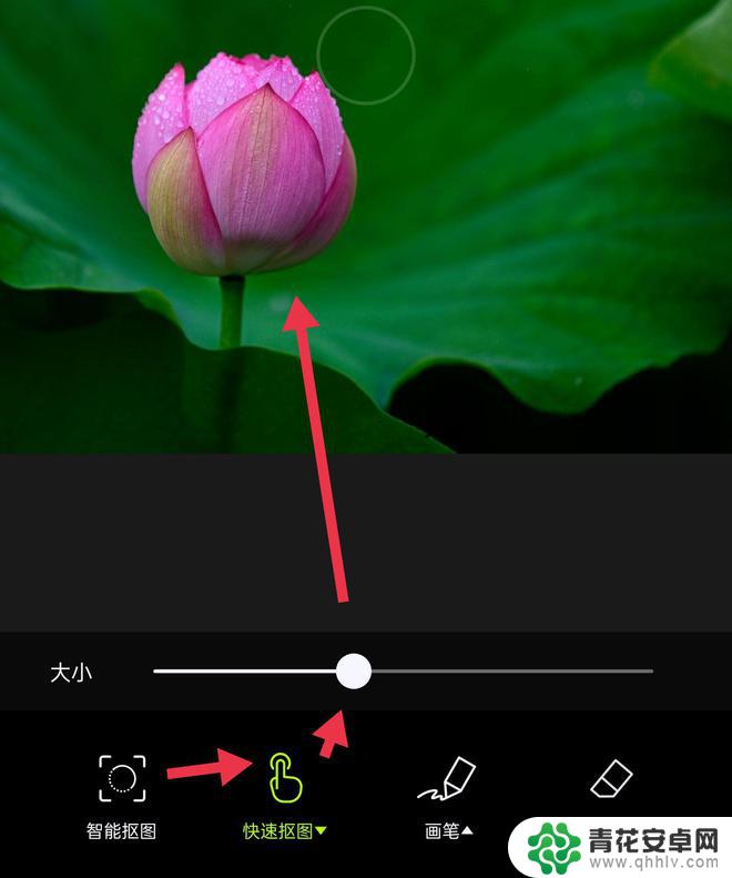 手机如何修改荷花图片 手机摄影如何拍摄和修图荷花的全面教程