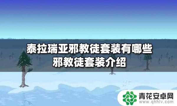 泰拉瑞亚影邪教袍 泰拉瑞亚邪教徒套装外观特点