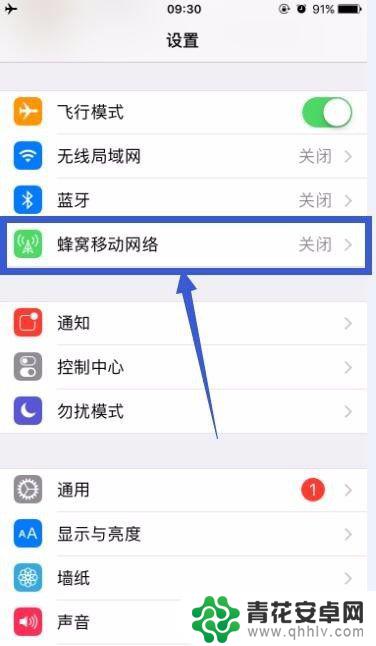 苹果手机网络权限在哪里设置 苹果手机开启某个APP的上网权限步骤