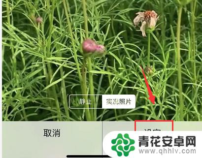 苹果抖音手机背景怎么设置 苹果手机抖音动态壁纸设置教程