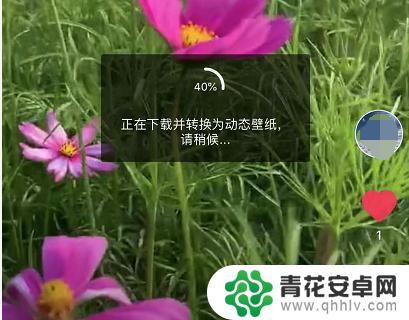 苹果抖音手机背景怎么设置 苹果手机抖音动态壁纸设置教程