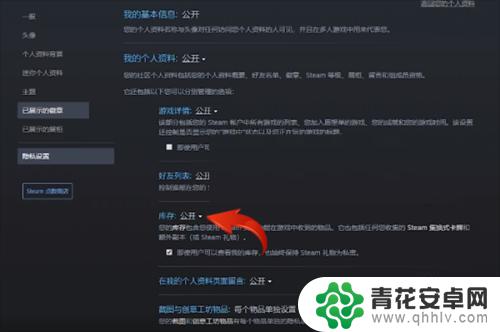 steam 库存怎么给朋友 Steam库存公开教程