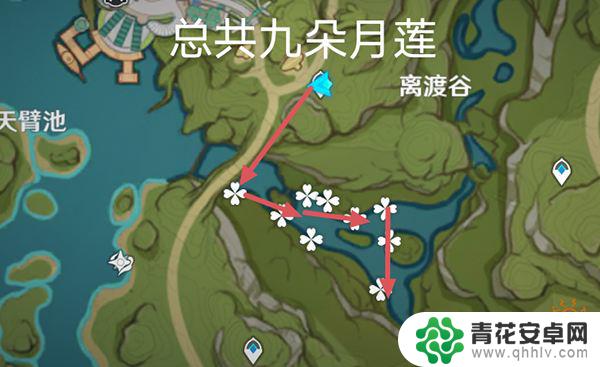 如何采河莲原神 原神月莲地点一览