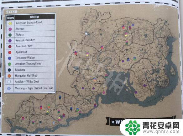 荒野大镖客2获得虎纹野马 《荒野大镖客2》虎纹野马属性介绍