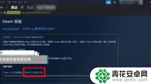 苹果电脑steam加不了好友 Steam加不了好友怎么办