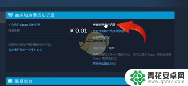 手机steam查看交易记录 《steam》购买历史查询方法