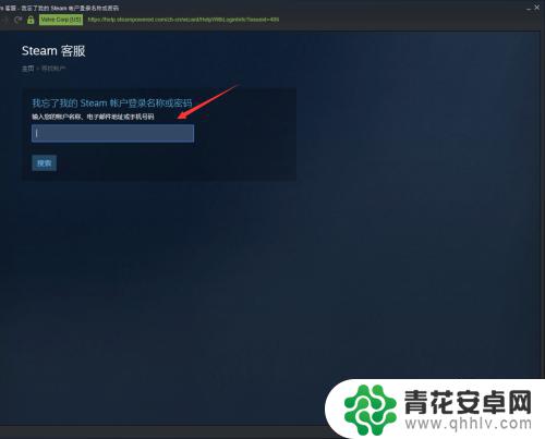 steam新账号登上后怎么办 登录Steam账号密码正确但无法进入游戏怎么办