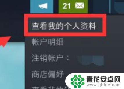 steam怎么不让好友看到我的动态 Steam个人游戏动态如何隐藏