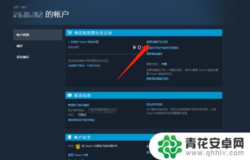 steam怎么看游戏购买记录 steam消费记录怎么查看