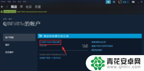 steam怎样充值任意金额 Steam怎么充值任意金额