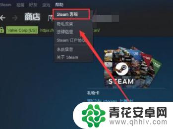 steam怎么设置游戏充值 Steam修改付款方式的步骤