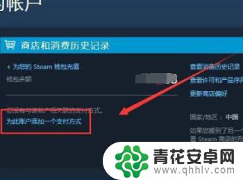 steam怎么设置游戏充值 Steam修改付款方式的步骤