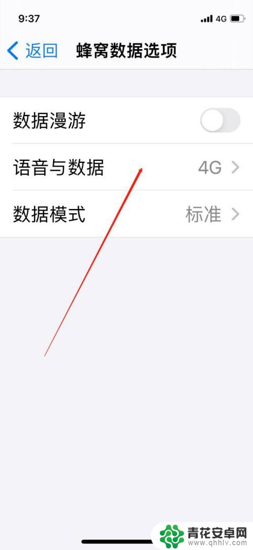 苹果手机咋开5g 怎样在iPhone手机上设置开启5g信号