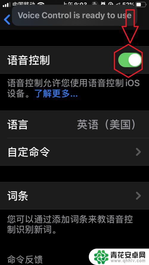 怎么设置语音控制手机苹果 苹果手机IOS13语音控制怎么开启