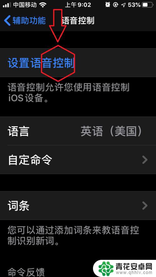 怎么设置语音控制手机苹果 苹果手机IOS13语音控制怎么开启