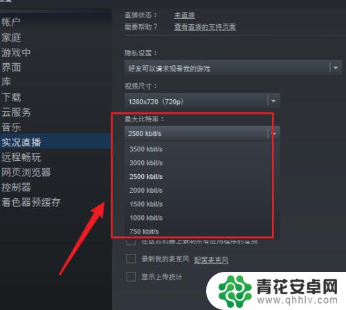 如何再steam上直播 如何在steam平台设置直播视频尺寸