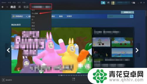 steam怎么不让好友看见 Steam好友如何不看到我拥有的游戏