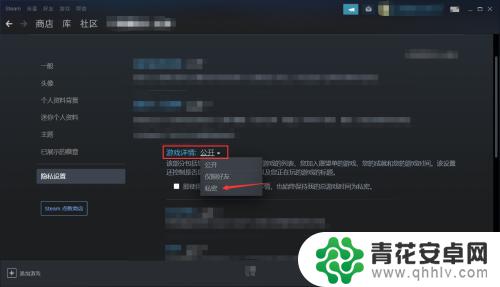 steam怎么不让好友看见 Steam好友如何不看到我拥有的游戏