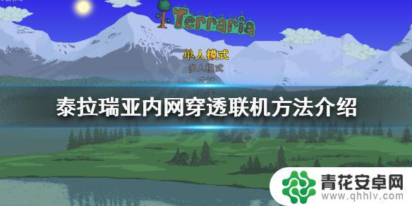 泰拉瑞亚本地联机怎么弄 泰拉瑞亚如何联机内网穿透方法