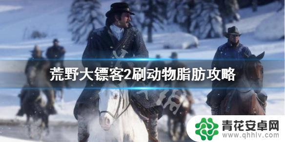 荒野大镖客动物脂肪怎么分解 《荒野大镖客2》中哪些动物掉落动物脂肪